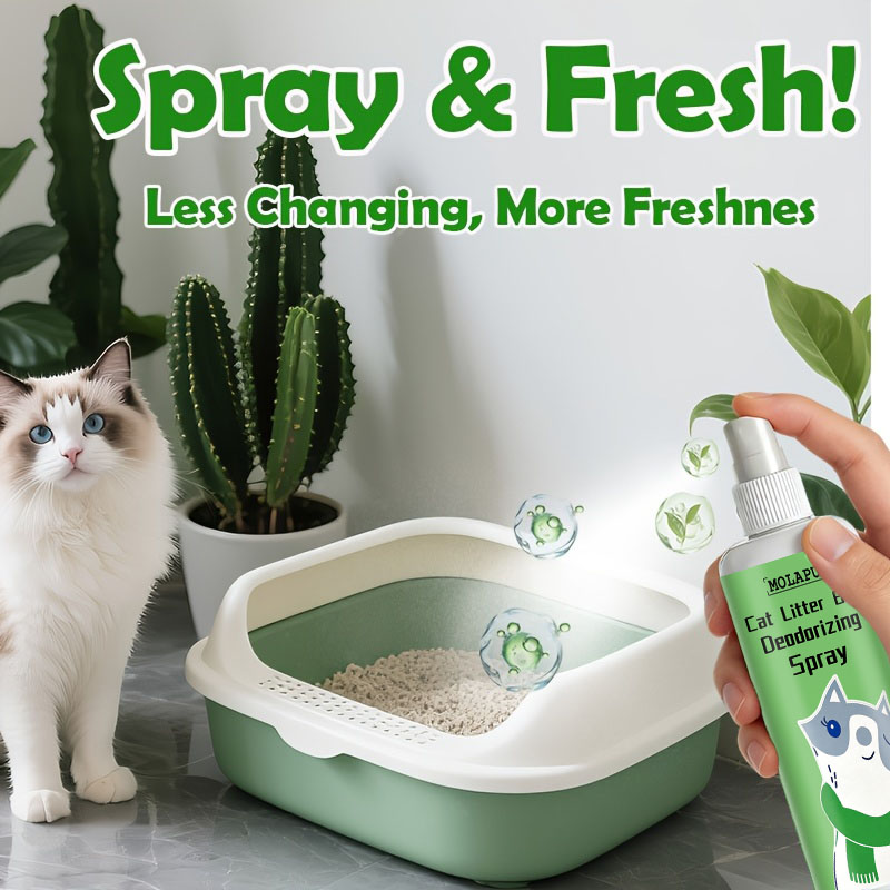 Spray Desodorizante para Areia - Home Bathroom With Urinal avaliação e preço